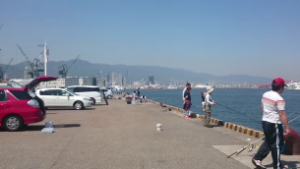 スナップショット 4 (2016-05-19 8-35)