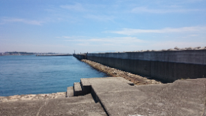 スナップショット 3 (2016-05-19 8-24)