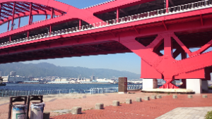 スナップショット 5 (2016-05-19 9-11)