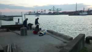 %e3%82%b9%e3%83%8a%e3%83%83%e3%83%97%e3%82%b7%e3%83%a7%e3%83%83%e3%83%88-2-2016-11-11-18-48